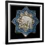 Small tile with a spotted hyena or bear, 13th century. Artist: Unknown-Unknown-Framed Giclee Print