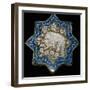 Small tile with a spotted hyena or bear, 13th century. Artist: Unknown-Unknown-Framed Giclee Print