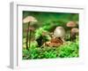 Small Toad Surrounded by Mushrooms, Jasmund National Park, Island of Ruegen, Germany-Christian Ziegler-Framed Premium Photographic Print