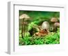 Small Toad Surrounded by Mushrooms, Jasmund National Park, Island of Ruegen, Germany-Christian Ziegler-Framed Photographic Print