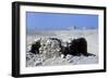 Small tomb near Step Pyramid, Saqqara, Egypt, c2600 BC. Artist: Imhotep-Imhotep-Framed Giclee Print