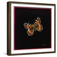 Small Tortoiseshell Butterfly, 1998-Amelia Kleiser-Framed Giclee Print