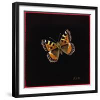 Small Tortoiseshell Butterfly, 1998-Amelia Kleiser-Framed Giclee Print