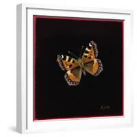 Small Tortoiseshell Butterfly, 1998-Amelia Kleiser-Framed Giclee Print