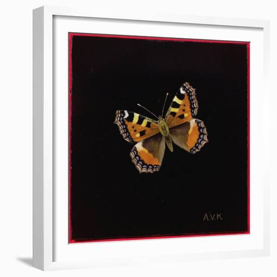 Small Tortoiseshell Butterfly, 1998-Amelia Kleiser-Framed Giclee Print