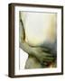 Small Touch, 2017 (W/C on Arches Paper)-Graham Dean-Framed Giclee Print