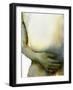 Small Touch, 2017 (W/C on Arches Paper)-Graham Dean-Framed Giclee Print