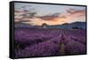 Small tower in a lavender field at sunrise with pink colored clouds in the sky, Provence, France-Francesco Fanti-Framed Stretched Canvas