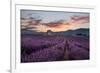 Small tower in a lavender field at sunrise with pink colored clouds in the sky, Provence, France-Francesco Fanti-Framed Photographic Print