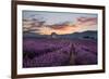 Small tower in a lavender field at sunrise with pink colored clouds in the sky, Provence, France-Francesco Fanti-Framed Photographic Print