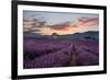 Small tower in a lavender field at sunrise with pink colored clouds in the sky, Provence, France-Francesco Fanti-Framed Photographic Print