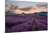 Small tower in a lavender field at sunrise with pink colored clouds in the sky, Provence, France-Francesco Fanti-Mounted Photographic Print