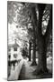 Small Town Autumn IV-Alan Hausenflock-Mounted Photographic Print