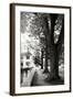 Small Town Autumn IV-Alan Hausenflock-Framed Photographic Print