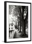 Small Town Autumn IV-Alan Hausenflock-Framed Photographic Print