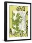 Small Translucent Wildflowers III-Jennifer Goldberger-Framed Art Print