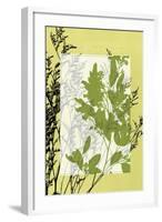 Small Translucent Wildflowers IV-Jennifer Goldberger-Framed Art Print