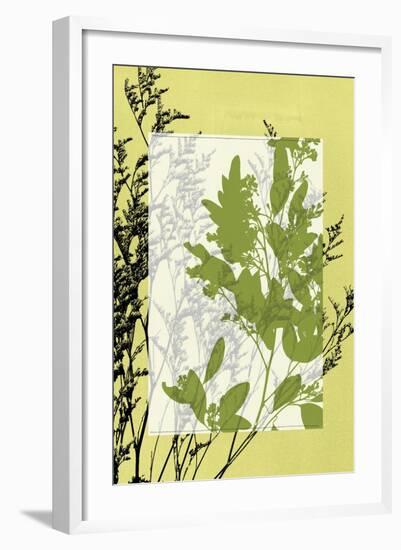 Small Translucent Wildflowers IV-Jennifer Goldberger-Framed Art Print