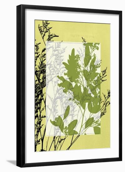 Small Translucent Wildflowers IV-Jennifer Goldberger-Framed Art Print