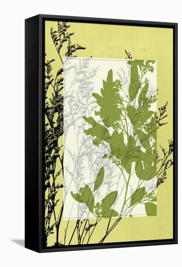 Small Translucent Wildflowers IV-Jennifer Goldberger-Framed Stretched Canvas