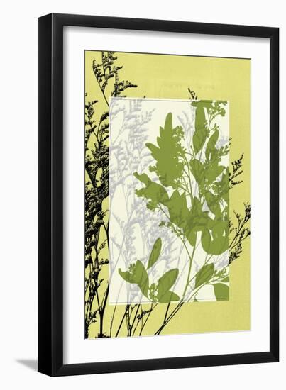 Small Translucent Wildflowers IV-Jennifer Goldberger-Framed Art Print