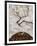 Small Tree in Late Autumn, 1911-Egon Schiele-Framed Giclee Print