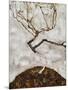 Small Tree in Late Autumn, 1911-Egon Schiele-Mounted Giclee Print