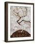 Small Tree in Late Autumn, 1911-Egon Schiele-Framed Giclee Print