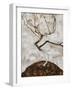 Small Tree in Late Autumn, 1911-Egon Schiele-Framed Giclee Print