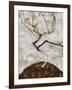 Small Tree in Late Autumn, 1911-Egon Schiele-Framed Giclee Print