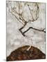 Small Tree in Late Autumn, 1911-Egon Schiele-Mounted Giclee Print