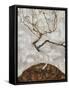 Small Tree in Late Autumn-Egon Schiele-Framed Stretched Canvas