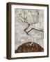 Small Tree in Late Autumn-Egon Schiele-Framed Giclee Print