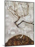 Small Tree in Late Autumn-Egon Schiele-Mounted Giclee Print