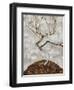 Small Tree in Late Autumn-Egon Schiele-Framed Giclee Print