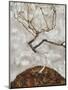 Small Tree in Late Autumn-Egon Schiele-Mounted Giclee Print