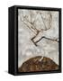 Small Tree in Late Autumn-Egon Schiele-Framed Stretched Canvas