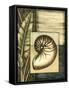 Small Tropical Shell II-Ethan Harper-Framed Stretched Canvas