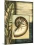 Small Tropical Shell II-Ethan Harper-Mounted Art Print