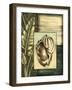 Small Tropical Shell III-Ethan Harper-Framed Art Print