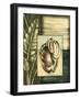 Small Tropical Shell III-Ethan Harper-Framed Art Print