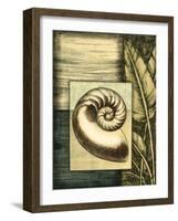 Small Tropical Shell IV-Ethan Harper-Framed Art Print