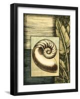 Small Tropical Shell IV-Ethan Harper-Framed Art Print