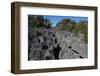 Small Tsingy, Tsingy de Bemaraha National Park, Melaky Region, Western Madagascar-Carlo Morucchio-Framed Photographic Print