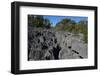 Small Tsingy, Tsingy de Bemaraha National Park, Melaky Region, Western Madagascar-Carlo Morucchio-Framed Photographic Print