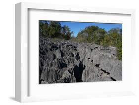 Small Tsingy, Tsingy de Bemaraha National Park, Melaky Region, Western Madagascar-Carlo Morucchio-Framed Photographic Print