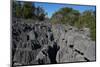 Small Tsingy, Tsingy de Bemaraha National Park, Melaky Region, Western Madagascar-Carlo Morucchio-Mounted Photographic Print