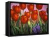 Small Tulips and Hyacinths-John Newcomb-Framed Stretched Canvas