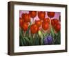 Small Tulips and Hyacinths-John Newcomb-Framed Giclee Print