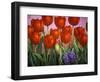 Small Tulips and Hyacinths-John Newcomb-Framed Giclee Print